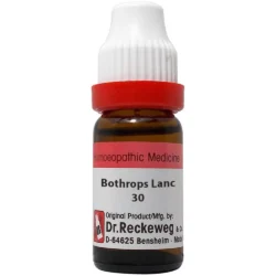 Dr Reckeweg Bothrops Lanceolatus Dilution 30 CH (11ml)
