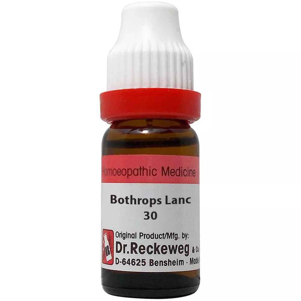 Dr Reckeweg Bothrops Lanceolatus Dilution 30 CH (11ml)