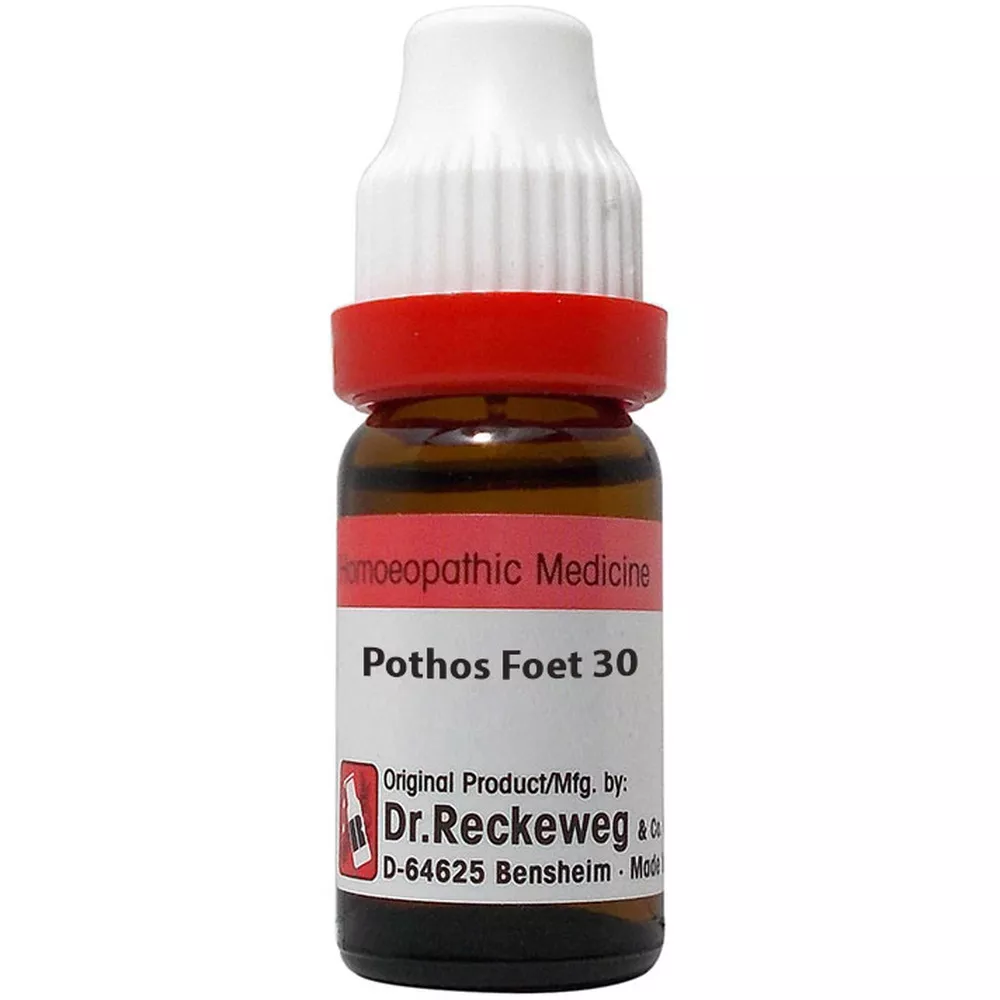 Dr Reckeweg Pothos Foetidus Dilution 30 CH (11ml)